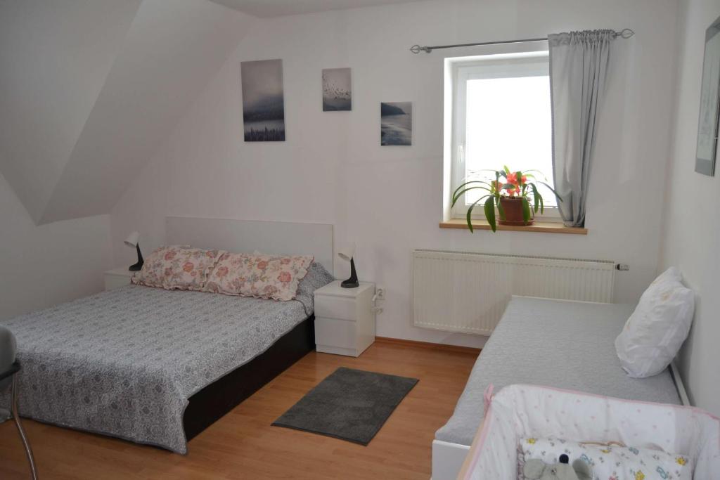 Pension u sovy room 5